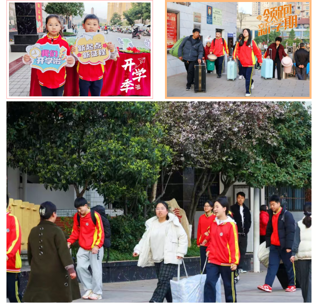 QQ_1773303408635.png